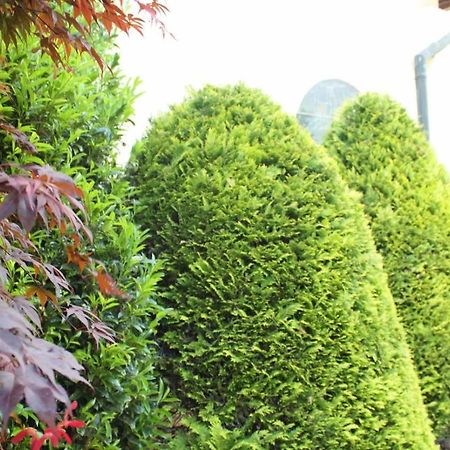 Wanderhotel Garni Cresta シュルンス エクステリア 写真